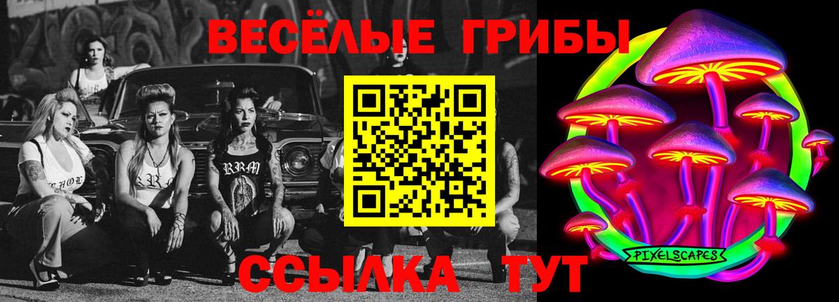 Галлюциногенные грибы GOLDEN TEACHER  Галлюциногенные грибы ЛСД  Вход с VPN  Электрогорск 